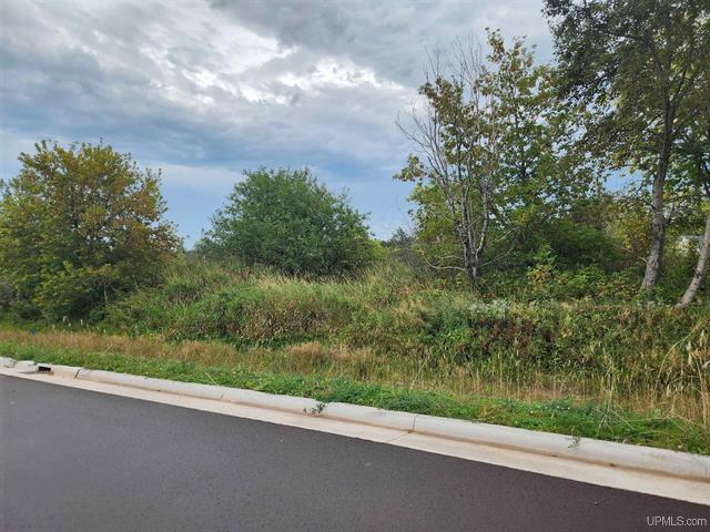 More Photos Of TBD9 Dolomite Dr, Hancock Land For Sale