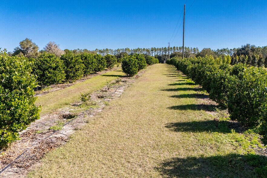 More Photos Of 16385 NW 112th Ct, Reddick Specialty For Sale