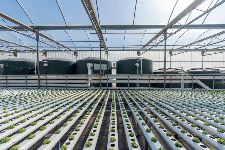 More Photos Of 2075 N Twin Oaks Valley Rd, San Marcos Garden Center For Lease