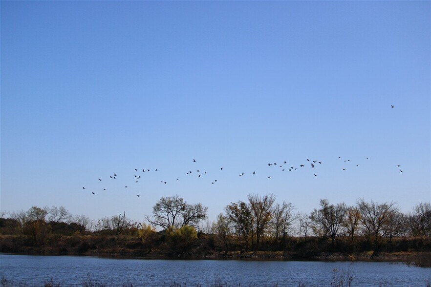 More Photos Of 1684 County Road 2234, Lampasas Land For Sale