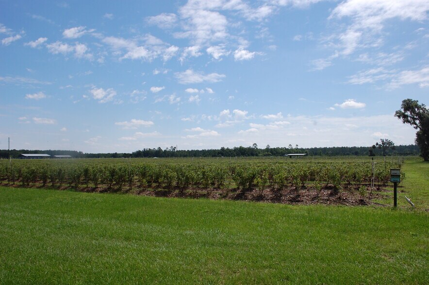 More Photos Of 18811 SE 243rd St, Hawthorne Specialty For Sale