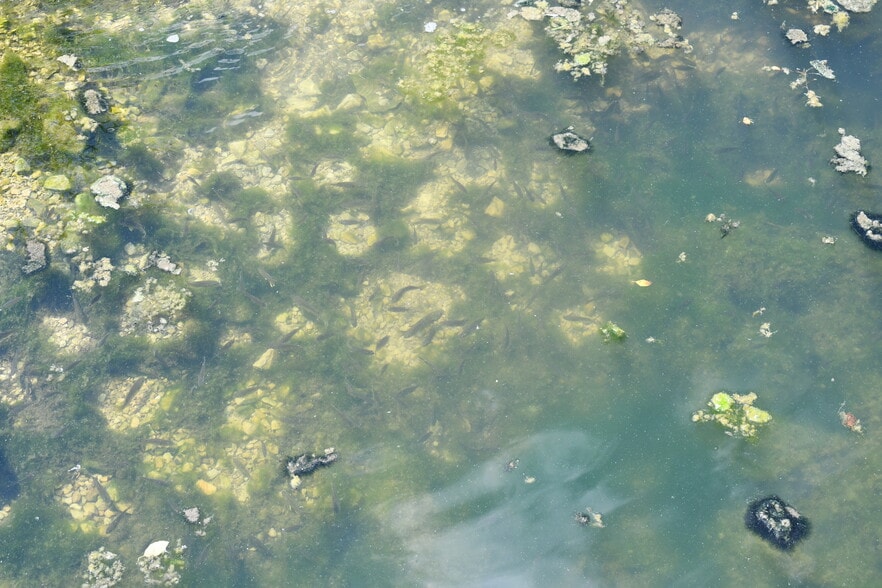 More Photos Of 6769 N State Road 931, Sharpsville Land For Sale