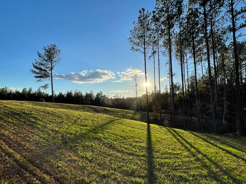 More Photos Of 92 Lillian Strong rd, Carlton Land For Sale