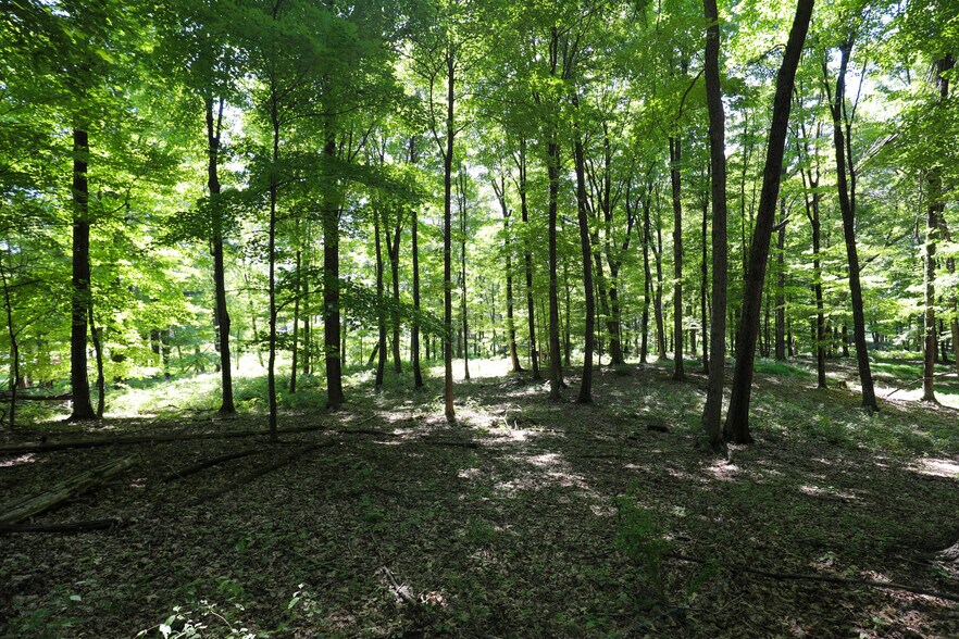 More Photos Of 458 Lucas Ave, Kingston Land For Sale