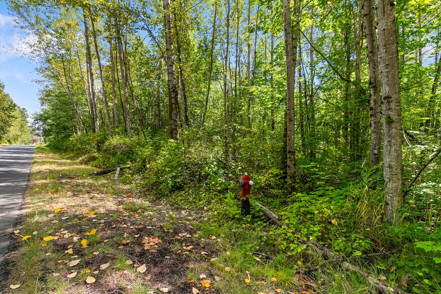 More Photos Of 115-155 Tremont Ave, Bellingham Land For Sale