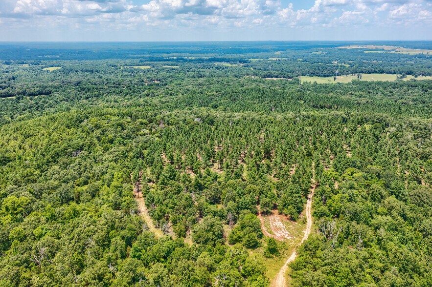 More Photos Of TBD State Hwy 64, Tyler Land For Sale