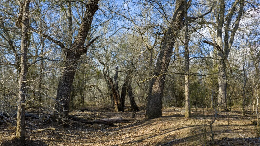 More Photos Of Texas 97, Cost Land For Sale