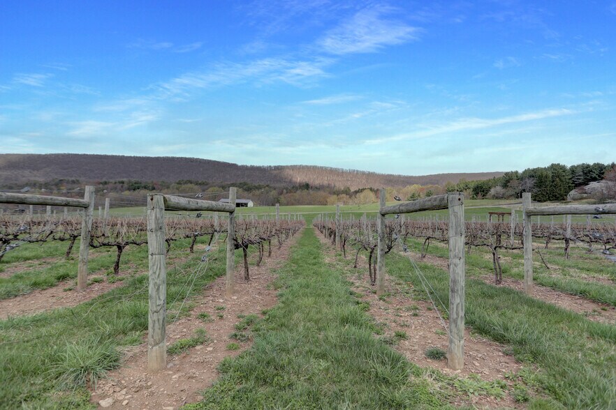 More Photos Of 596 Harman Rd, Halifax Winery Vineyard For Sale