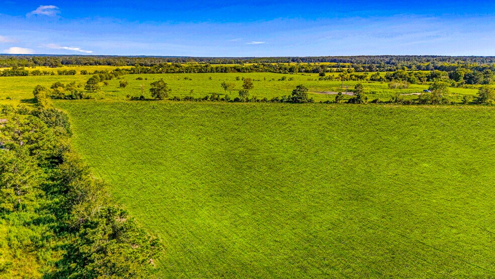 More Photos Of TBD FM 350 S TBD FM 350 S, Livingston Land For Sale