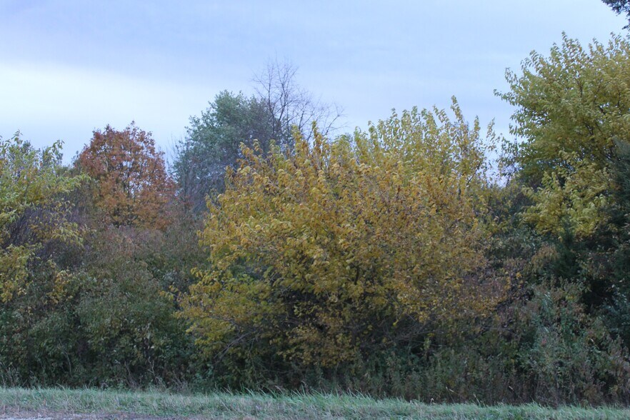 More Photos Of 0 Fabyan Pky, Elburn Land For Sale