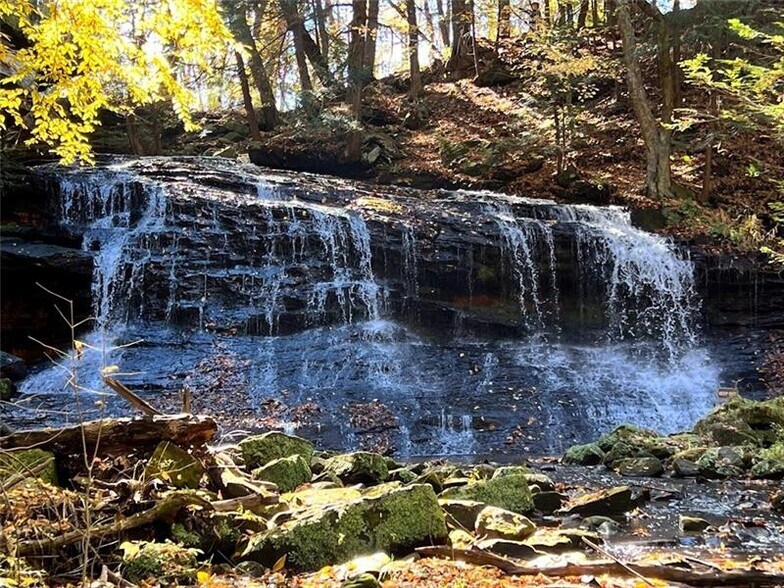 More Photos Of 1007 Leesburg Station Rd, Mercer Storefront Retail Office For Lease