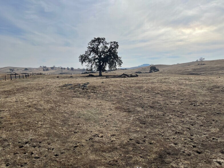 More Photos Of Hwy 41, O Neals Land For Sale