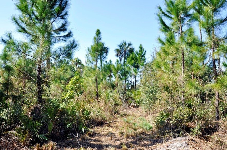 More Photos Of Cortez Blvd & Marys Fish Camp Rd, Weeki Wachee Land For Sale