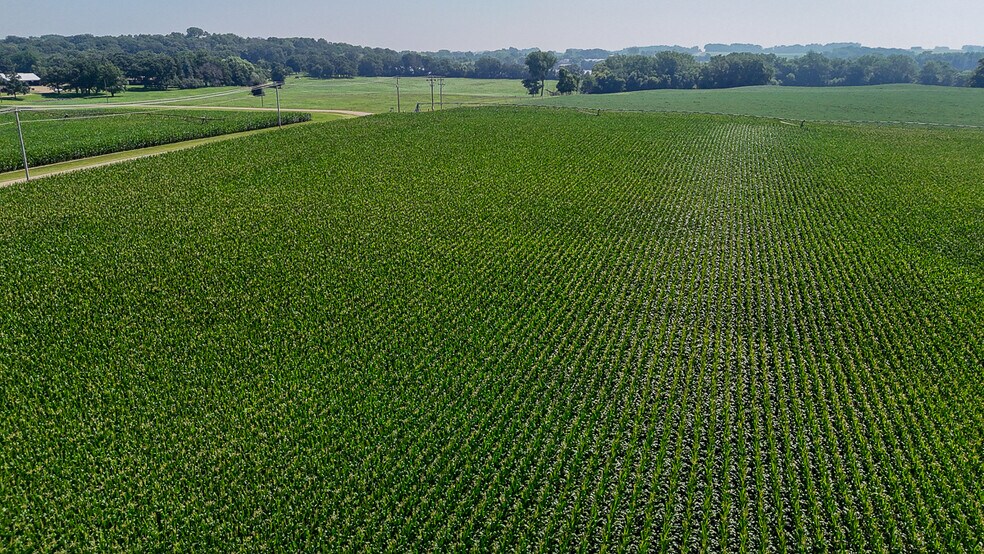 More Photos Of 10988 Point Douglas S dr, Hastings Land For Sale