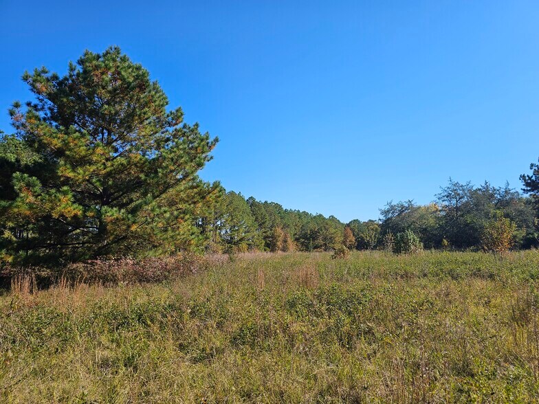 More Photos Of 5434 Columbia Road, Grovetown Land For Sale