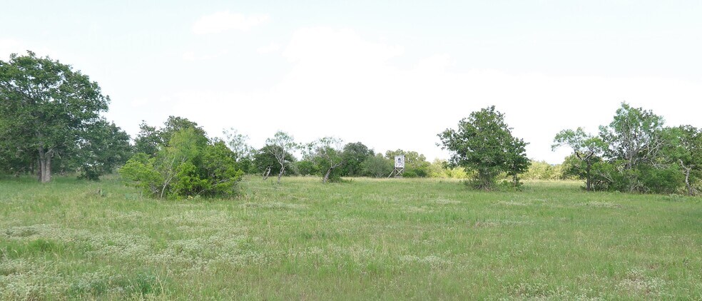 More Photos Of 1136 County Road 212, Smiley Land For Sale