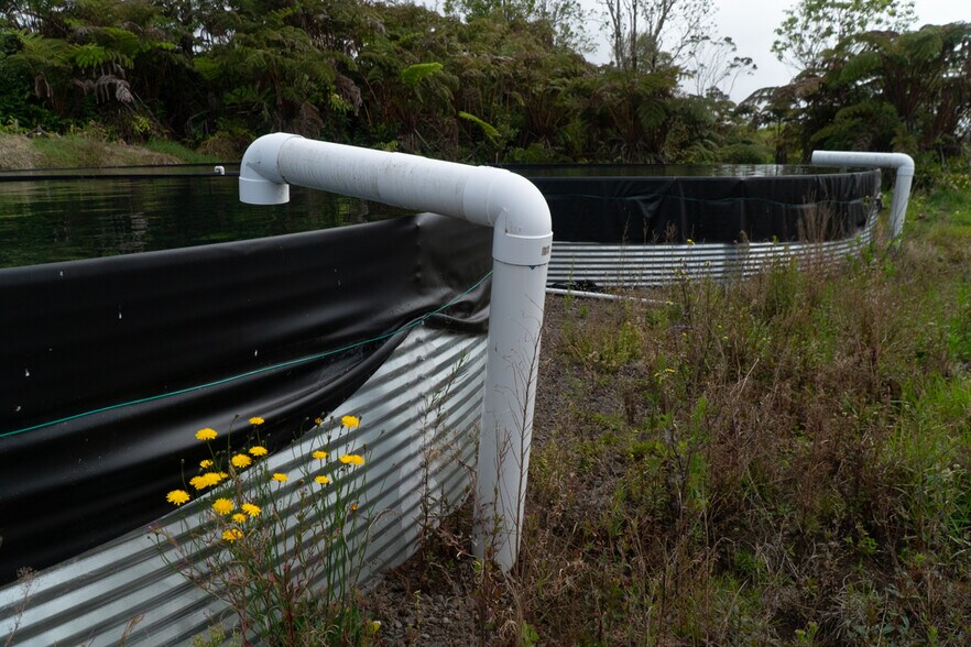 More Photos Of 19-4549 Amaumau Rd, Volcano Land For Sale