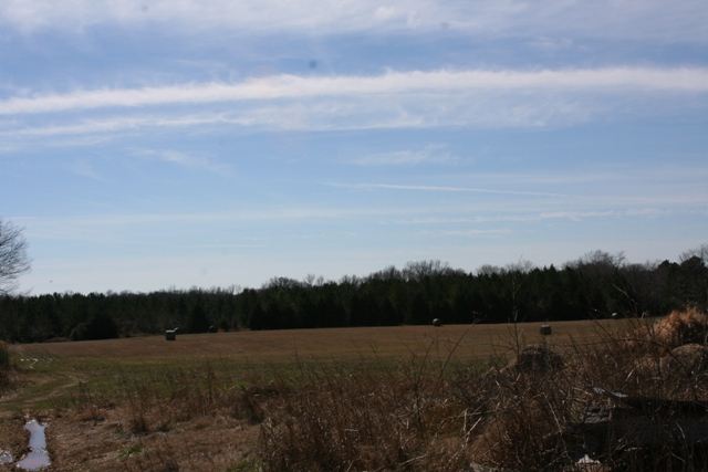 More Photos Of 2365 E Oak St, Conway Land For Sale