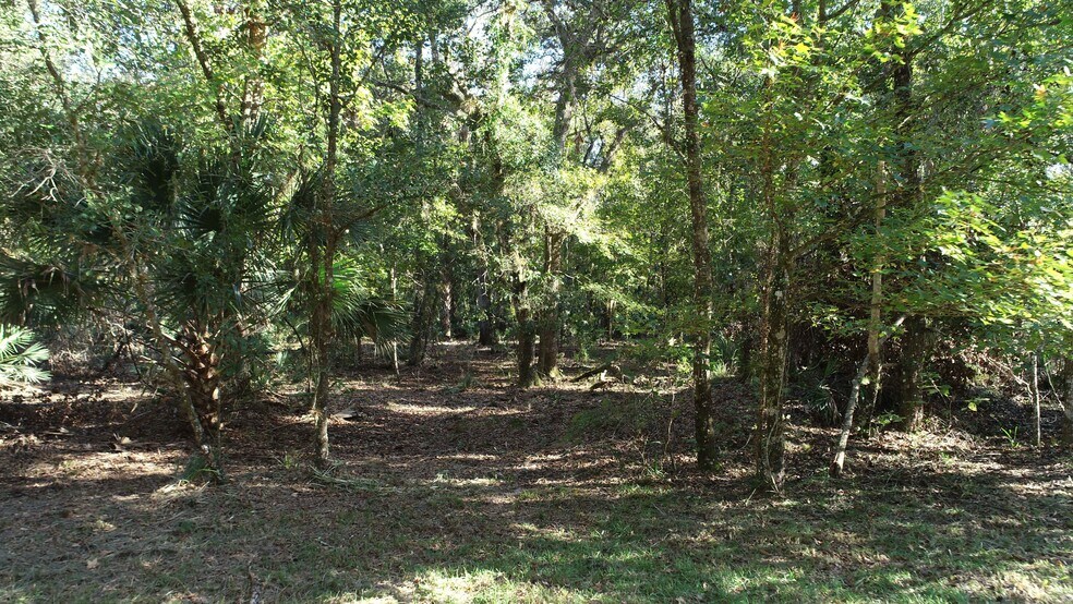 More Photos Of South Co Road 13, Orlando Land For Sale