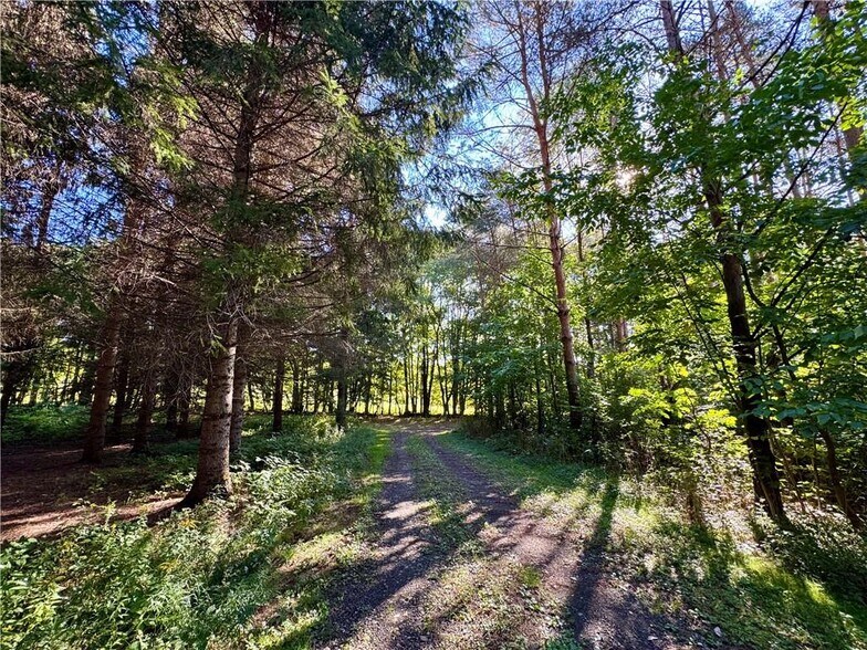More Photos Of 175 Hovick Rd, Hartwick Land For Sale
