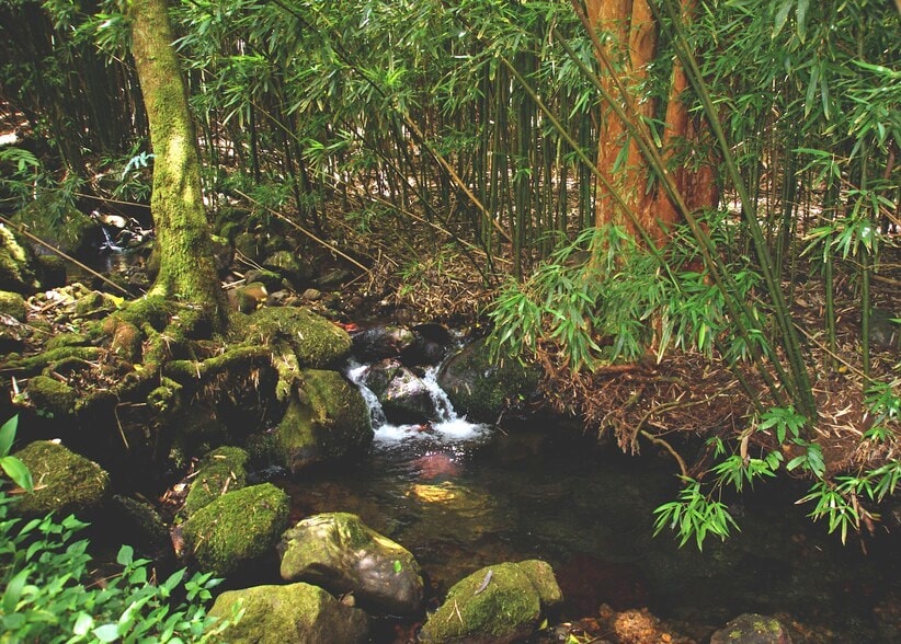 More Photos Of 3737 Manoa Rd, Honolulu Land For Sale