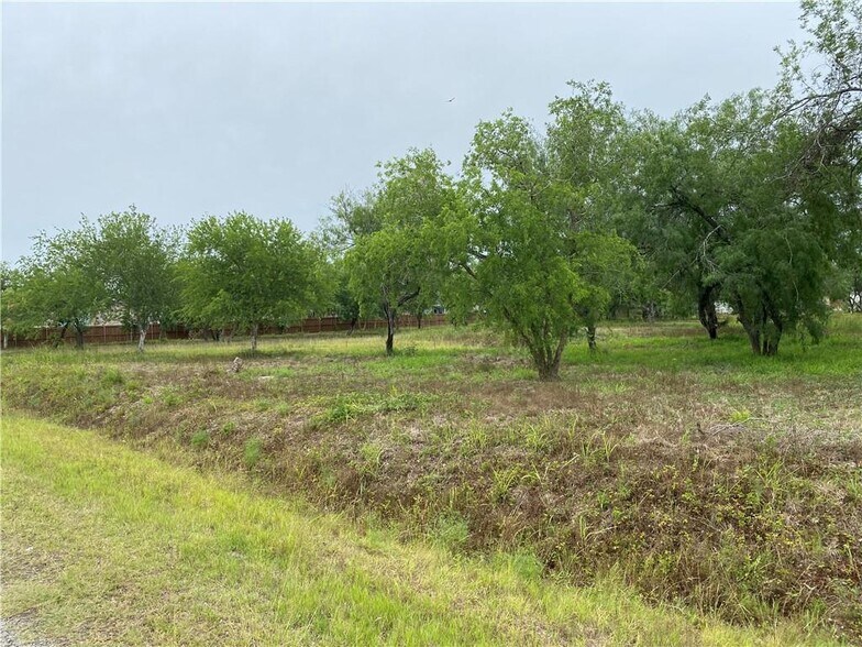 Primary Photo Of Cemetery Road @ 4th, Sinton Land For Sale