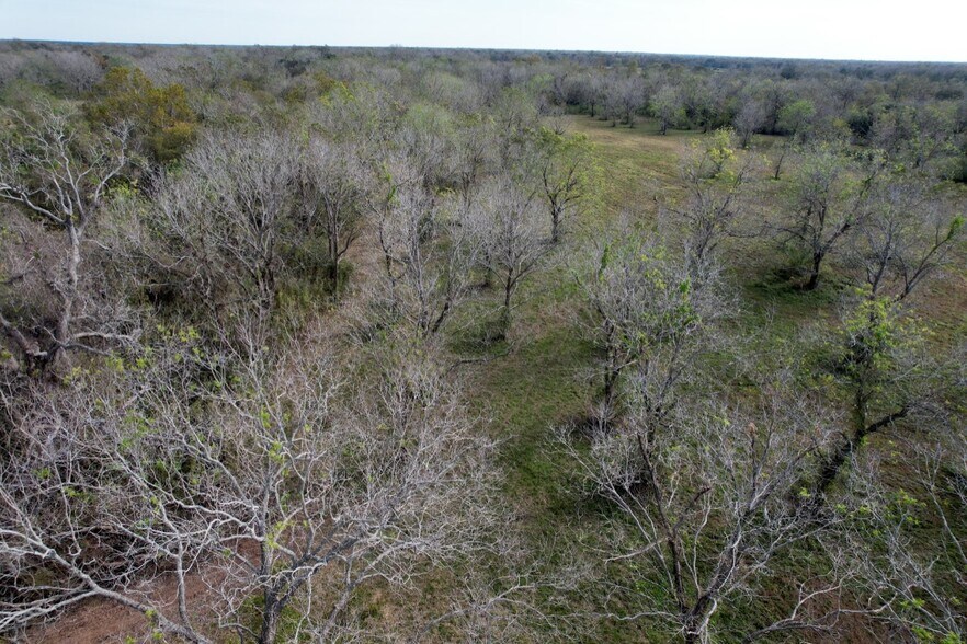 More Photos Of 0 Hwy 35, Van Vleck Land For Sale