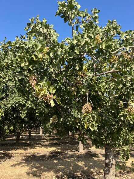 More Photos Of North of Sebastian Rd, Arvin Land For Sale