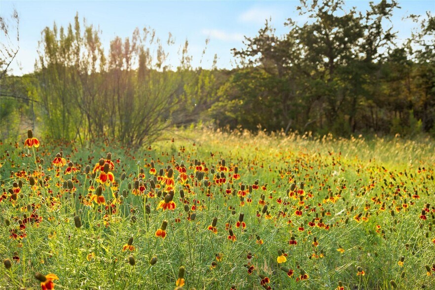 More Photos Of 900 Lost Valley Rd, Dripping Springs Land For Sale