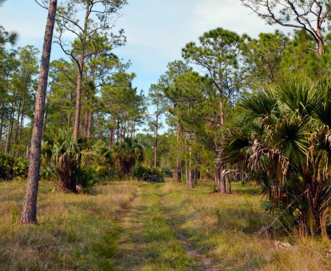 More Photos Of 8425 SW Martin Hwy, Palm City Land For Sale