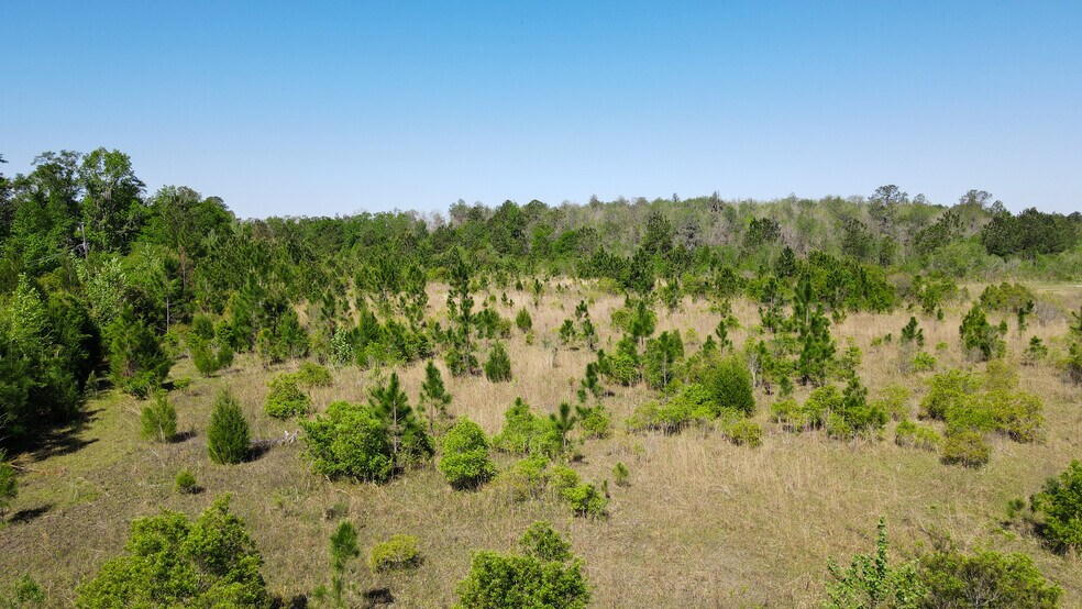 More Photos Of 3270 N US Highway 441, Lake City Land For Sale