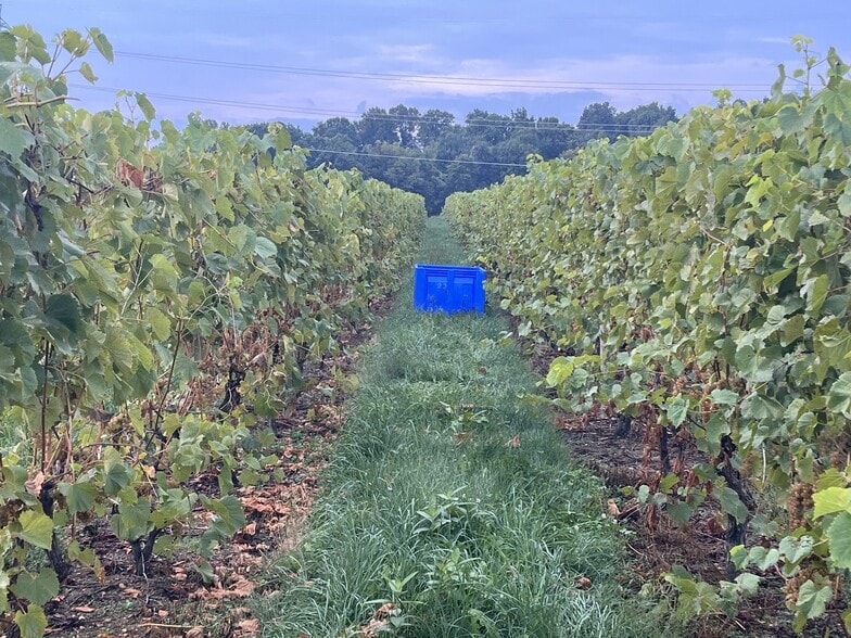 More Photos Of 10220 Lauer Rd, Baroda Winery Vineyard For Sale