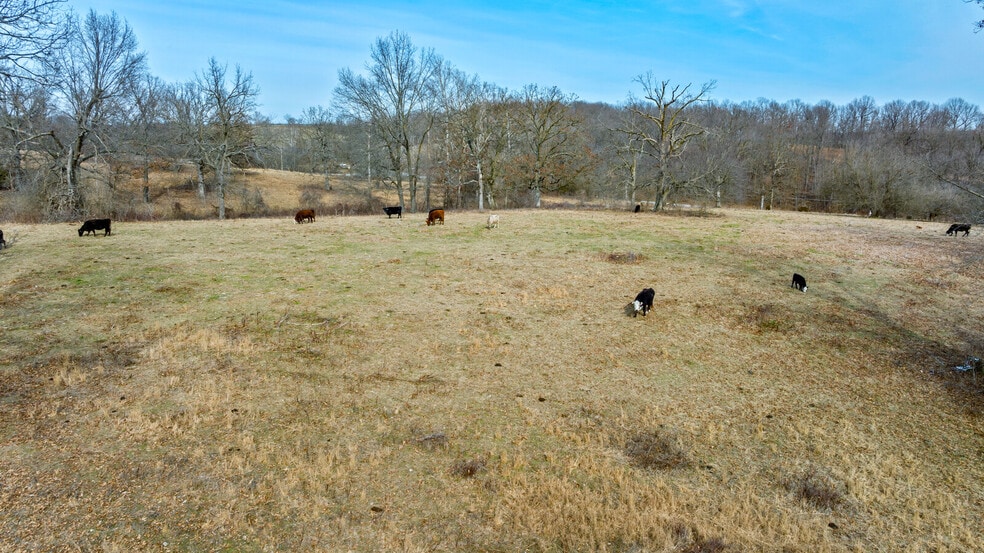 More Photos Of 17430 State HWY 0, Stark City Land For Sale