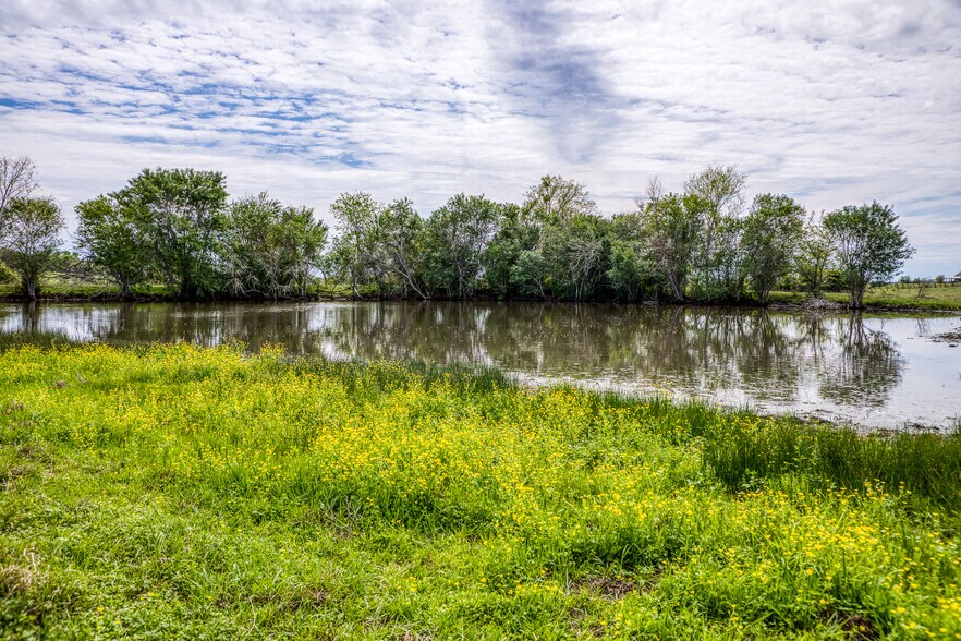 More Photos Of 20751 FM 1155 E, Washington Land For Sale