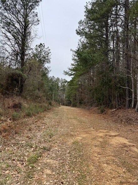 More Photos Of 00 Maypop Ln, Meadville Land For Sale
