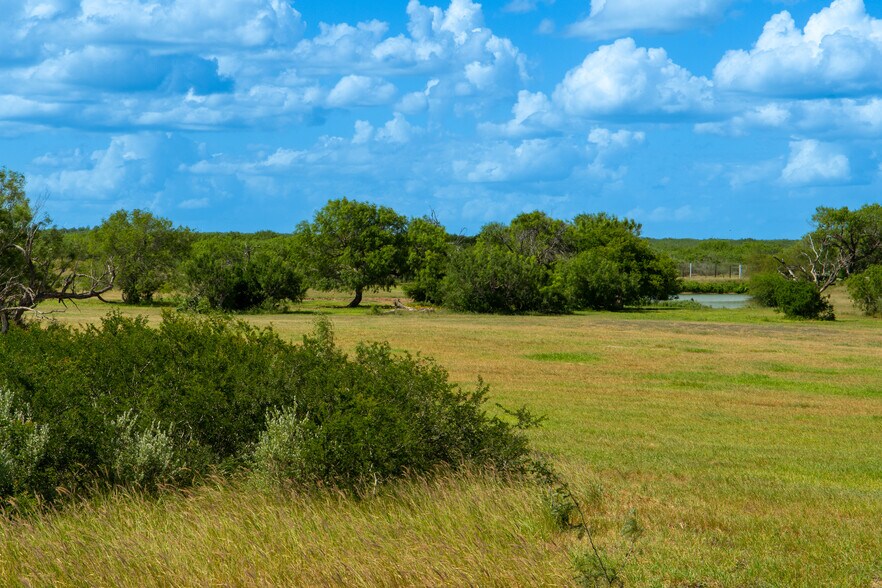 More Photos Of Las Brisas Road, Rio Grande City Land For Sale