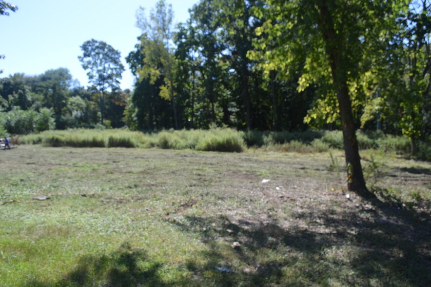 More Photos Of W Oakland Ave, Oakland Land For Sale