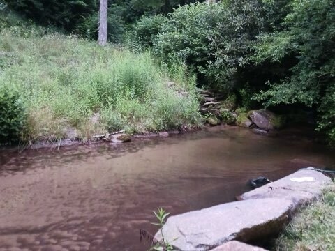 More Photos Of 4259 Pickens Hwy, Rosman Hospitality For Lease