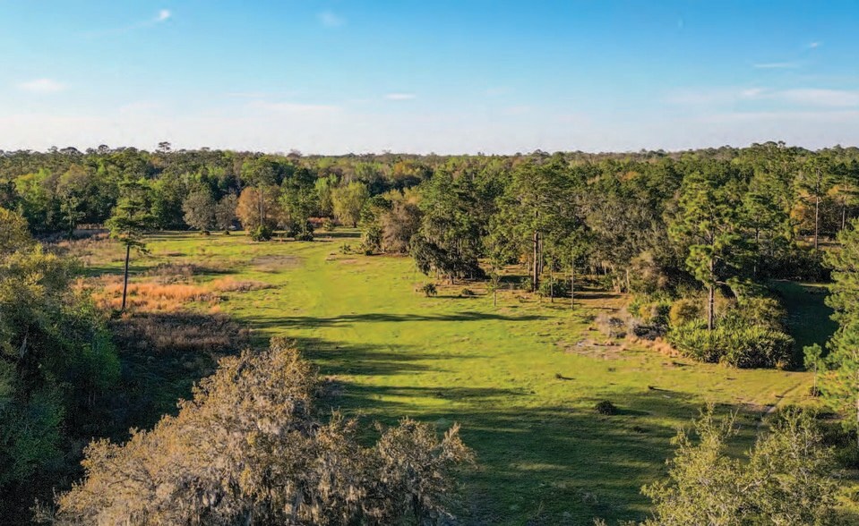More Photos Of 2580 County 419 rd, Chuluota Land For Sale