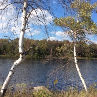 More Photos Of 870 County Route 60, Newton Falls Land For Sale