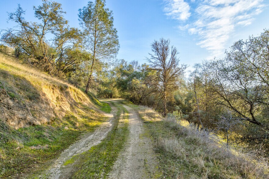 More Photos Of 50871 Road 200, O Neals Land For Sale