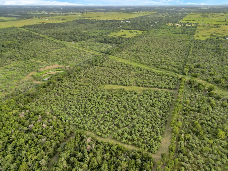 More Photos Of 868 Lisa Mae rd, Bellville Land For Sale