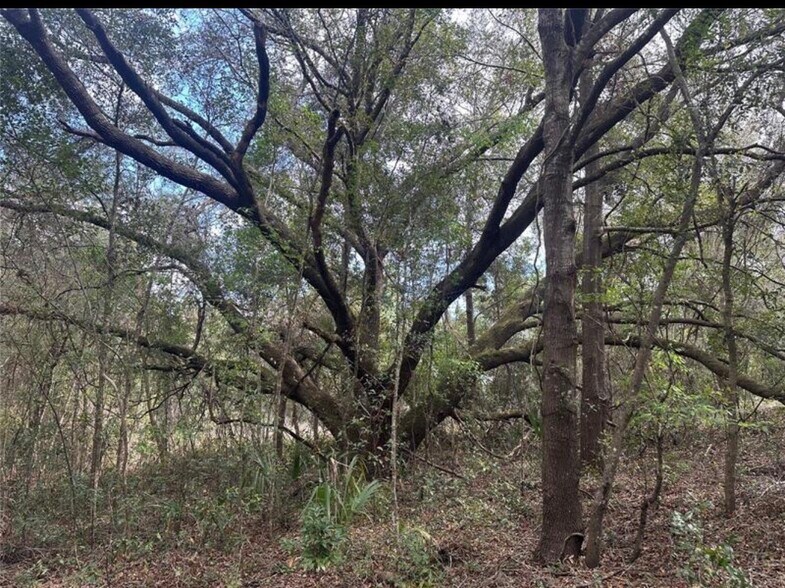 More Photos Of SOUTH LAKE HIAWATHA Dr, Lady Lake Land For Sale
