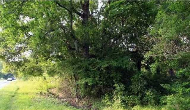 More Photos Of 2475 Ashley River Rd, Charleston Land For Sale