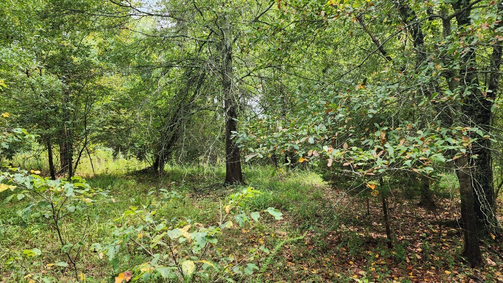 More Photos Of 1661 Friendship Rd, Hoschton Land For Sale
