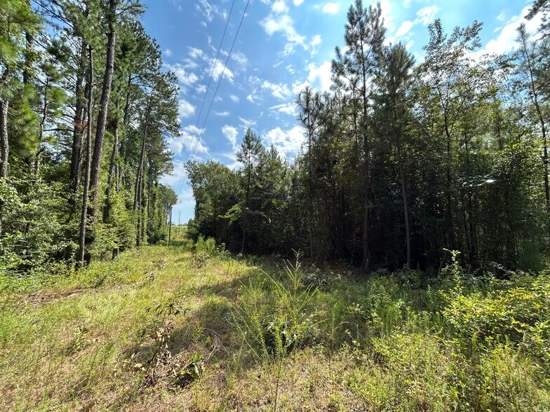 More Photos Of Bullard Road, Dry Branch Land For Sale