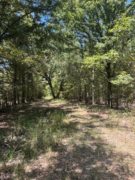 More Photos Of Elm Grove, Elm Grove Land For Sale