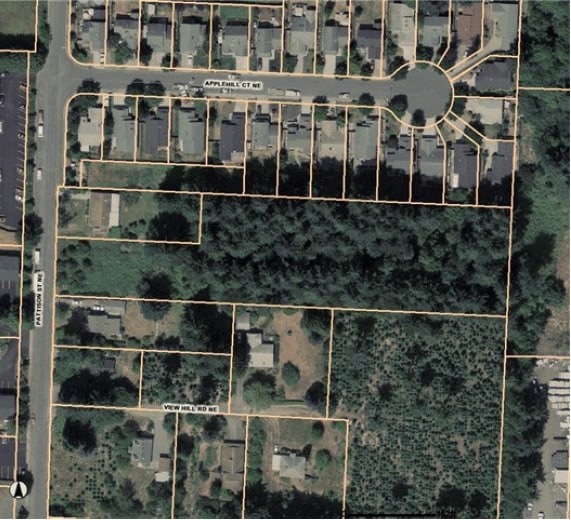More Photos Of 300 Pattison St NE, Olympia Land For Sale