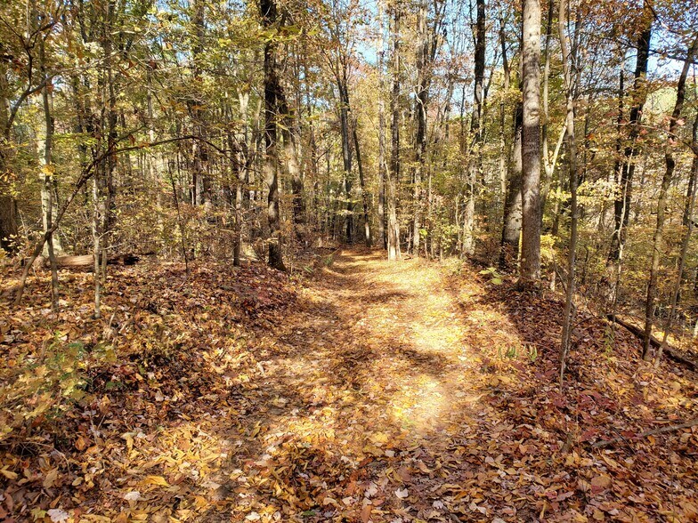 More Photos Of 1000 Block Of US-Hwy 64, Ocoee Land For Sale