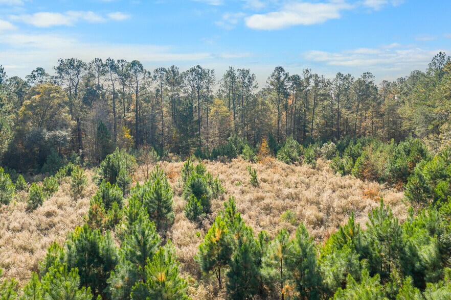 More Photos Of 50 Old River Rd, Bloomingdale Land For Sale